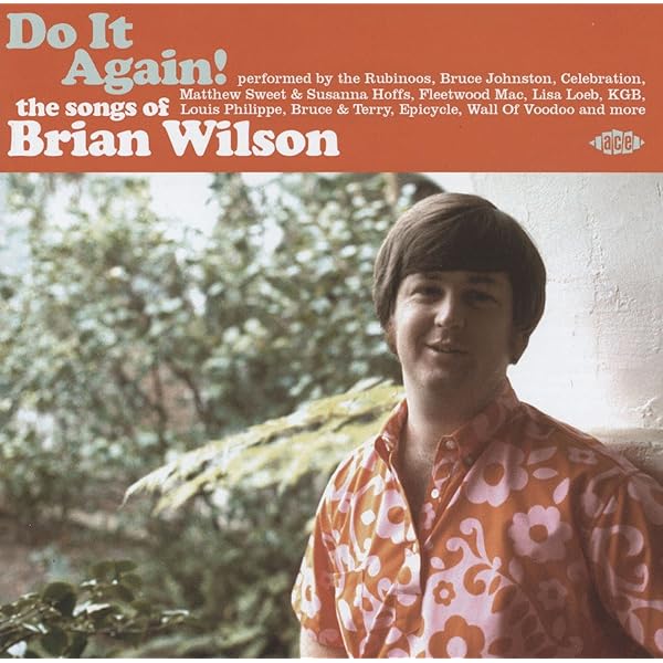 洋楽 Brian Wilson CD Brian Wilson : Wilson, Brian: Amazon.fr: CD et Vinyles}